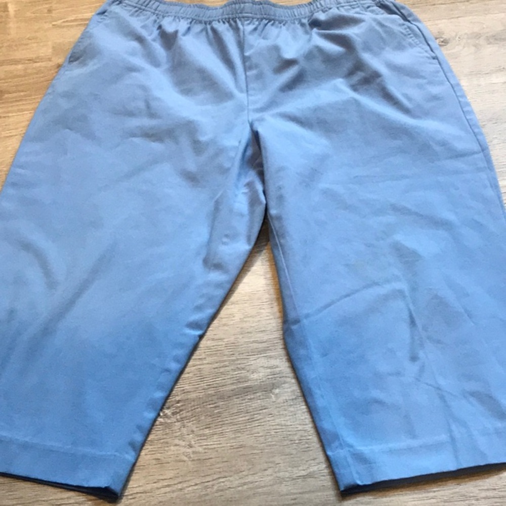 💙 The Tog Shop~~Blue Capris 💙